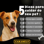 Tapetes Higiênicos Com Carvão Ativado 90 unidades Tamanho 80x60 para Cachorros - Caramelo